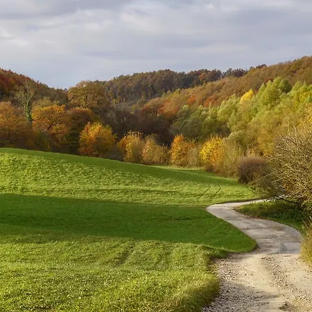 Mokus Valley Дом отдыха Bukkosd